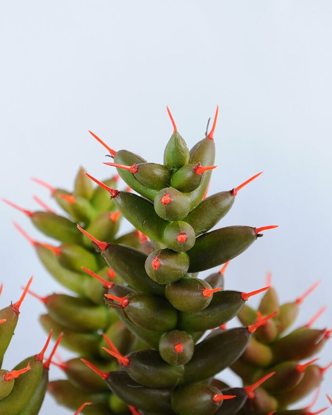 Artificial succulent 17*15*28.5cm single succulent set in Plastic pot GS-03319036