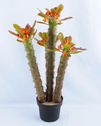 Artificial succulent single succulent with flower set in Plastic pot GS-03319037-O1 Succulent YeahFlower is one of Chinese leading OEM manufacturers and exporters , supplying the silk flowers, wholesale artificial trees Artificial succulent single succulent with flower set in Plastic pot GS-03319037-O1