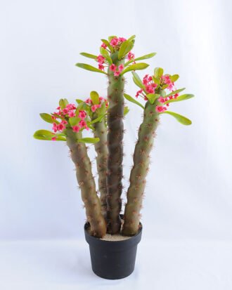 Artificial succulent single succulent with flower set in Plastic pot GS-03319037-P1 Succulent YeahFlower is one of Chinese leading OEM manufacturers and exporters , supplying the silk flowers, wholesale artificial trees Artificial succulent single succulent with flower set in Plastic pot GS-03319037-P1