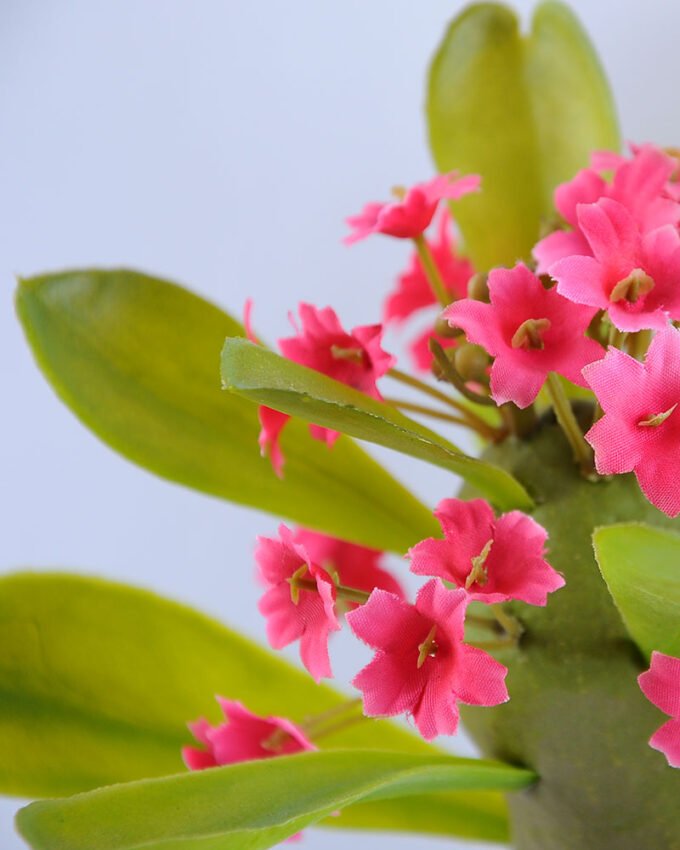 Artificial succulent single succulent with flower set in Plastic pot GS-03319037-P1