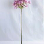 Artificial Flower 23*71cm African agapanthus GS-39119017-Z1