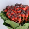 Artificial Flower 14*28CM BERRY BUSH*5 GS-36619025CONTI-R1