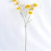 Artificial Flower 16*53CM BERRY FLOWERS BUSH GS-26219031-Y1
