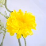 Artificial Flower 16*53CM BERRY FLOWERS BUSH GS-26219031-Y2