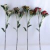 Artificial Flower 16*66CM BERRY SPRAY*2 GS-36619017CONTI-R1