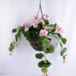 Artificial Flower 46*60*82CM Begonia In Basket GS-52719048