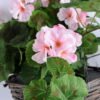 Artificial Flower 46*60*82CM Begonia In Basket GS-52719048
