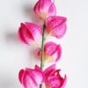 Artificial Flower 19*98CM Bellflower*3 GS-26219062 2 Artificial Flower 19*98CM Bellflower*3 GS-26219062