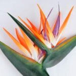 Artificial Flower 37*135CM Bird Of Paradise GS-41519008-O1
