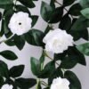 Artificial Flower 34*37CM Bougainvillea spectabilis Willd*5 GS-54519002-W1