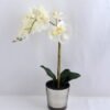 Artificial Flower 28*12*47CM Butterfly in glass pot GS-52719036