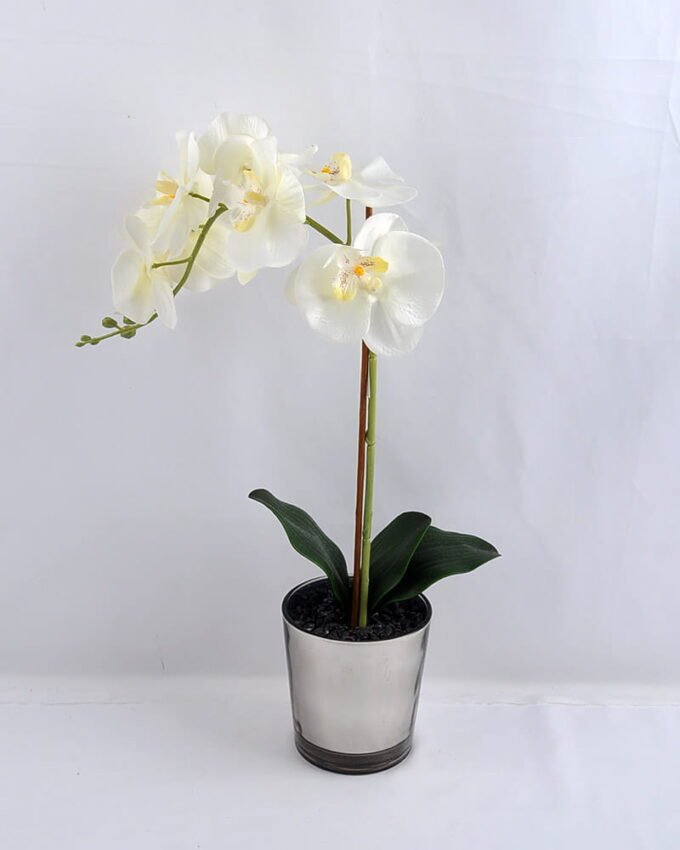 Artificial Flower 28*12*47CM Butterfly in glass pot GS-52719036