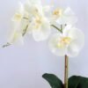 Artificial Flower 28*12*47CM Butterfly in glass pot GS-52719036