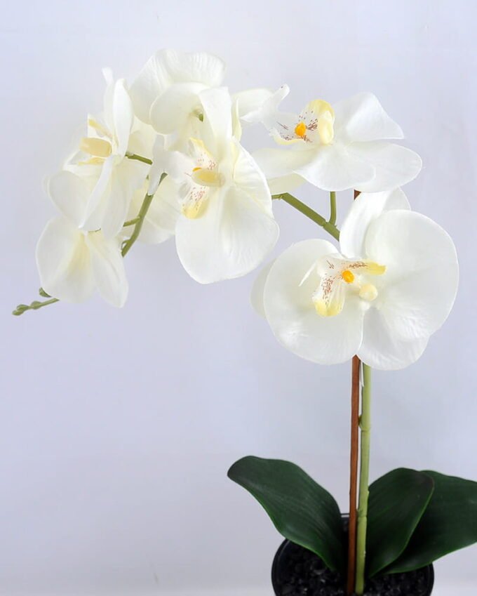 Artificial Flower 28*12*47CM Butterfly in glass pot GS-52719036