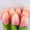 Artificial Flower 11*22CMCM TULIP BUNDLE STAND*9 GS-37219006-C1 2 Artificial Flower 11*22CMCM TULIP BUNDLE STAND*9 GS-37219006-C1