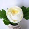 Artificial Flower 18*12*17CM Camellia Rose In Ceramic Pot GS-06919040-W1