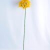 Artificial Flower 17*70CM Chrysanthemum GS-16819021-Y1
