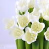 Artificial Flower 12*19CM Daffodil Bundle Stand*16 GS-37219005-W1
