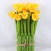 Artificial Flower 12*19CM Daffodil Bundle Stand*16 GS-37219005-Y1