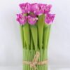 Artificial Flower 12*19CM Daffodil Bundle Stand*16 GS-37219005-Z1