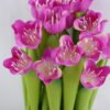 Artificial Flower 12*19CM Daffodil Bundle Stand*16 GS-37219005-Z1
