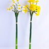 Artificial Flower 16*52CM Daffodil Bush*3 GS-41519009