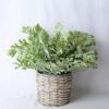 Artificial Flower 36*40*31CM Fern In Tin Pot GS-06919046