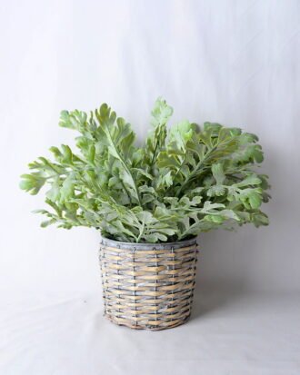 Artificial Flower 36*40*31CM Fern In Tin Pot GS-06919046