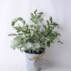 Artificial Flower 29*22*33CM Fern In Tin Pot GS-06919049 1 Artificial Flower 29*22*33CM Fern In Tin Pot GS-06919049