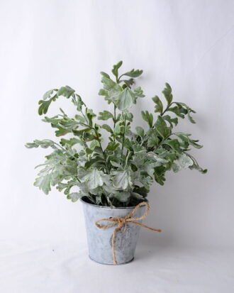 Artificial Flower 29*22*33CM Fern In Tin Pot GS-06919049 Potted Flowers&Plants YeahFlower is one of Chinese leading OEM manufacturers and exporters , supplying the silk flowers, wholesale artificial trees Artificial Flower 29*22*33CM Fern In Tin Pot GS-06919049