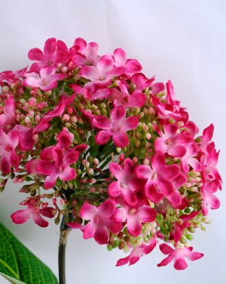 Artificial Flower 15*35CM HYDRANGEA GS-26219035-R1 Single Flowers YeahFlower is one of Chinese leading OEM manufacturers and exporters , supplying the silk flowers, wholesale artificial trees Artificial Flower 15*35CM HYDRANGEA GS-26219035-R1
