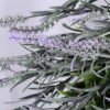 Artificial Flower D:45CM Lavender garland GS-54419003