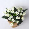 Artificial Flower 14*14*15cm Milan in plastic pot GS-03319266