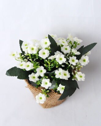Artificial Flower 14*14*15cm Milan in plastic pot GS-03319266