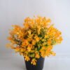 Artificial Flower 21*21*22cm Mini flower in plastic pot GS-03319253-O1