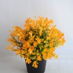 Artificial Flower 21*21*22cm Mini flower in plastic pot GS-03319253-O1