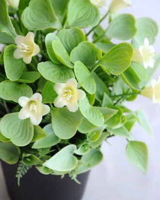 Artificial Flower 19*19*21cm Mini flower in plastic pot GS-03319254-W1 Potted Flowers&Plants YeahFlower is one of Chinese leading OEM manufacturers and exporters , supplying the silk flowers, wholesale artificial trees Artificial Flower 19*19*21cm Mini flower in plastic pot GS-03319254-W1