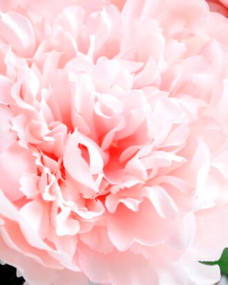 Artificial Flower 42*53CM PEONY BUSH*5 GS-26219017-P1