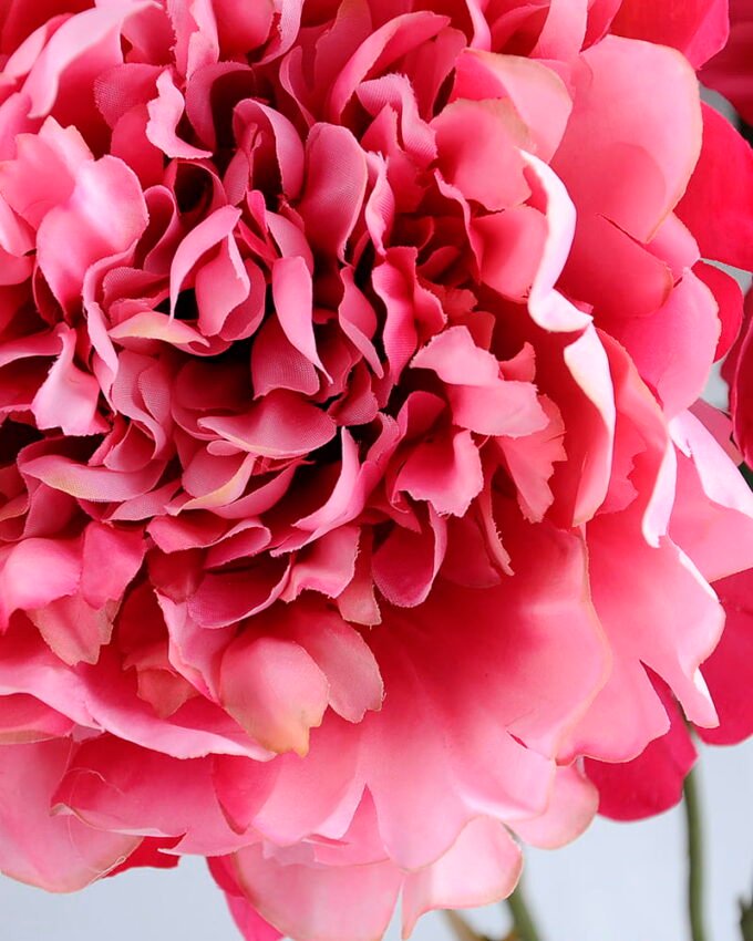 Artificial Flower 42*53CM PEONY BUSH*5 GS-26219017-R1
