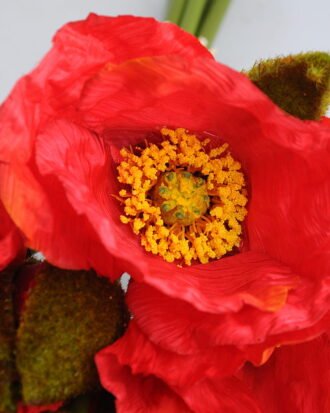 Artificial Flower 22*35CM Papaver*7 GS-37519008-R1