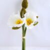 Artificial Flower 22*35CM Papaver*7 GS-37519008-W1