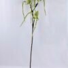 Artificial Flower 26*92cm Paphiopedilum*3 GS-39119011-G1