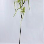 Artificial Flower 26*92cm Paphiopedilum*3 GS-39119011-G1