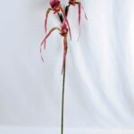 Artificial Flower 26*92cm Paphiopedilum*3 GS-39119011-R1