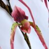 Artificial Flower 26*92cm Paphiopedilum*3 GS-39119011-R1