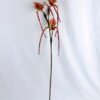 Artificial Flower 26*92cm Paphiopedilum*3 GS-39119011-Z1