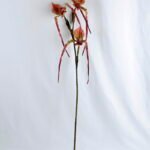 Artificial Flower 26*92cm Paphiopedilum*3 GS-39119011-Z1