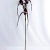 Artificial Flower 26*92cm Paphiopedilum*3 GS-39119011-Z2