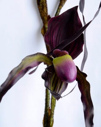 Artificial Flower 26*92cm Paphiopedilum*3 GS-39119011-Z2 Single Flowers YeahFlower is one of Chinese leading OEM manufacturers and exporters , supplying the silk flowers, wholesale artificial trees Artificial Flower 26*92cm Paphiopedilum*3 GS-39119011-Z2