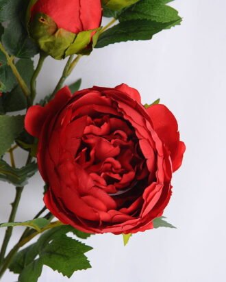 Artificial Flower 26*89CM Peony Bush*6 GS-17819014-R2